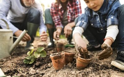 Great Ideas for Beginner Gardeners in Calgary