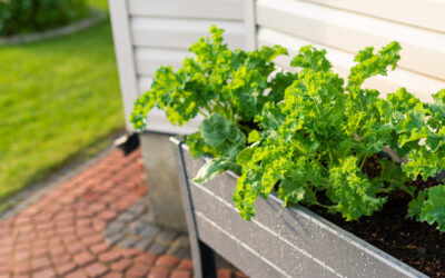 Simple DIY planter box