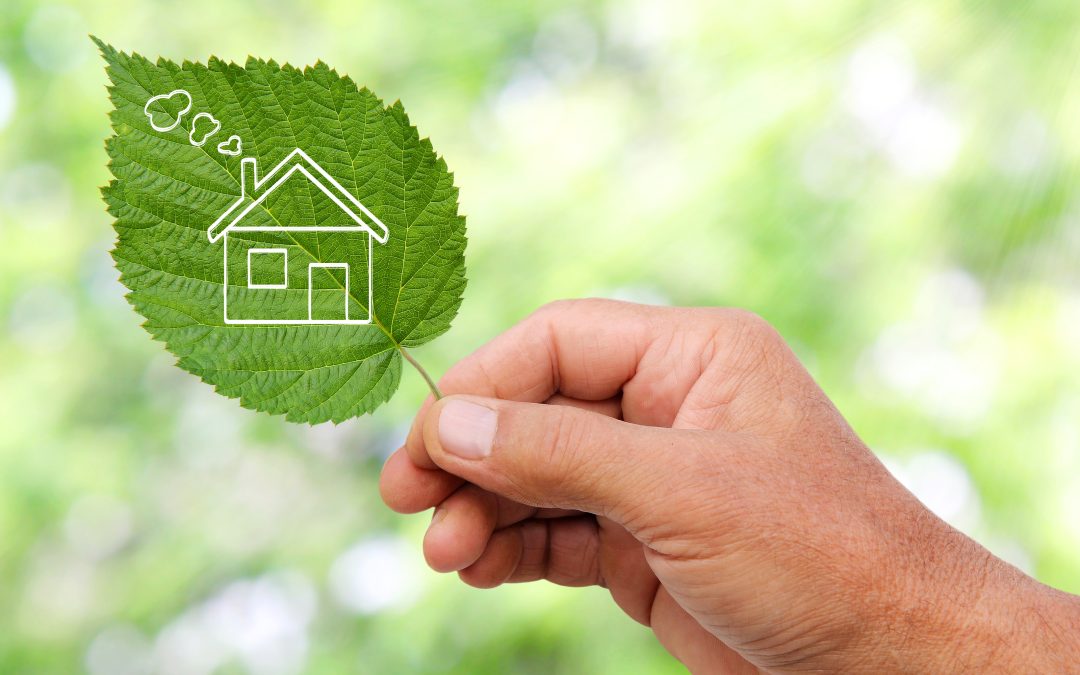 IMPROVING THE ENERGY EFFICIENCY OF YOUR HOME